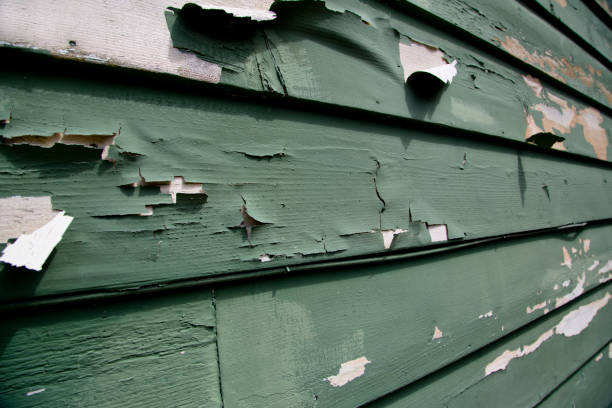 Best Custom Siding Design  in Brooklawn, NJ