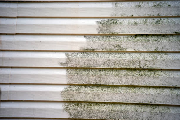 Best Residential Vinyl Siding Installation  in Brooklawn, NJ