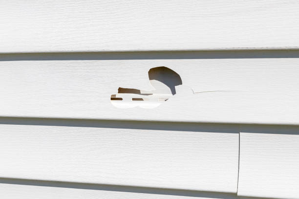 Best Composite Siding  in Brooklawn, NJ