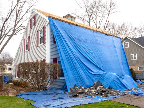 Best Siding Painting and Refinishing  in Brooklawn, NJ