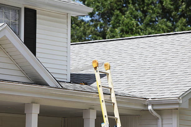 Best Engineered Wood Siding  in Brooklawn, NJ