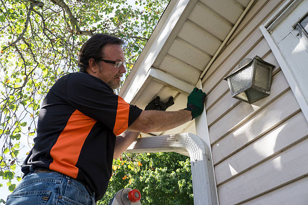 Best Stone Veneer Siding  in Brooklawn, NJ